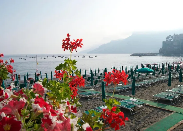 بانوراما 4* مايوري